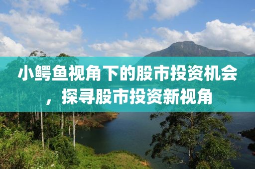 小鳄鱼视角下的股市投资机会，探寻股市投资新视角