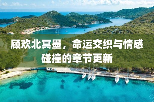 顾欢北冥墨，命运交织与情感碰撞的章节更新