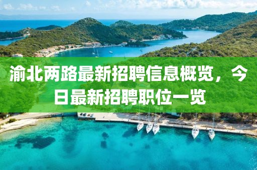 渝北两路最新招聘信息概览，今日最新招聘职位一览