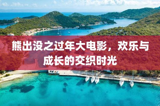 熊出没之过年大电影，欢乐与成长的交织时光