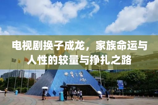 电视剧换子成龙，家族命运与人性的较量与挣扎之路