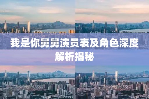我是你舅舅演员表及角色深度解析揭秘