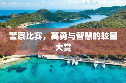 警察比赛，英勇与智慧的较量大赏