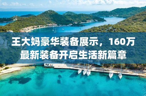 王大妈豪华装备展示，160万最新装备开启生活新篇章