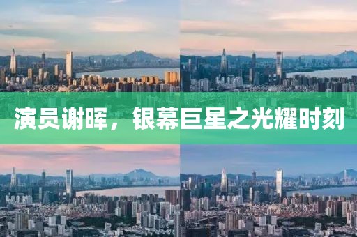 演员谢晖，银幕巨星之光耀时刻