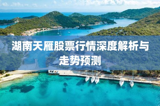湖南天雁股票行情深度解析与走势预测