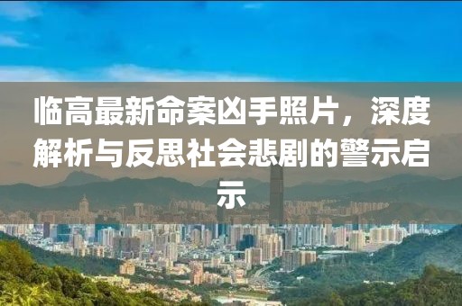临高最新命案凶手照片，深度解析与反思社会悲剧的警示启示