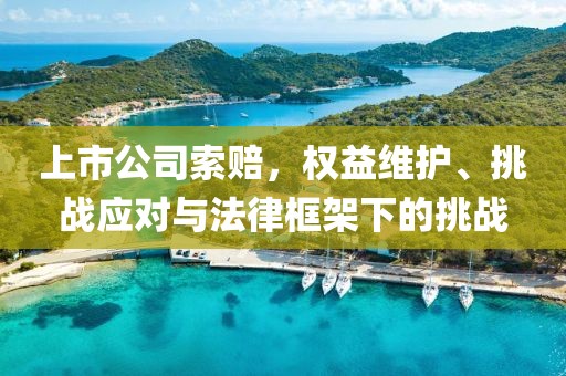 上市公司索赔，权益维护、挑战应对与法律框架下的挑战