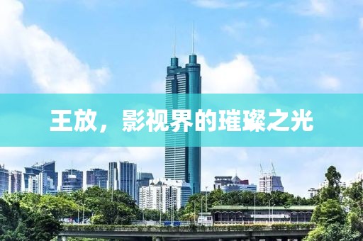 王放，影视界的璀璨之光