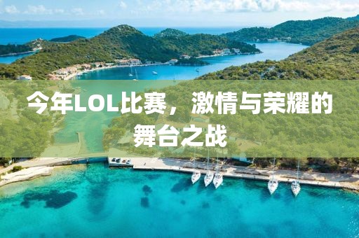 今年LOL比赛，激情与荣耀的舞台之战