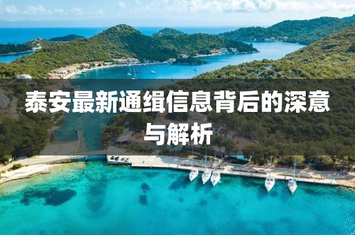 泰安最新通缉信息背后的深意与解析