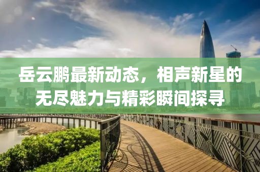 岳云鹏最新动态，相声新星的无尽魅力与精彩瞬间探寻