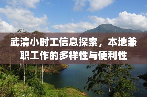 武清小时工信息探索，本地兼职工作的多样性与便利性