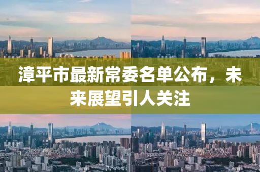 漳平市最新常委名单公布，未来展望引人关注