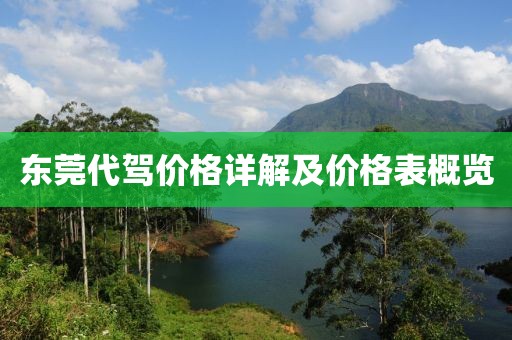 东莞代驾价格详解及价格表概览