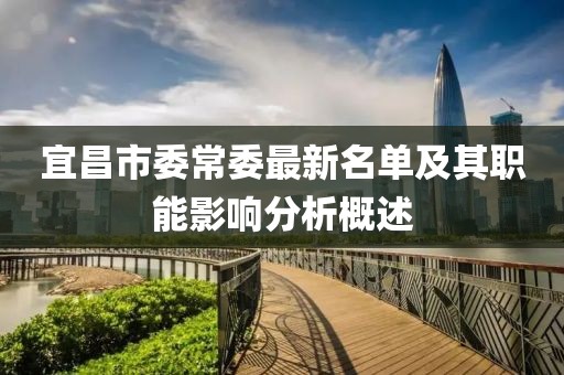 宜昌市委常委最新名单及其职能影响分析概述