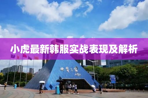 小虎最新韩服实战表现及解析