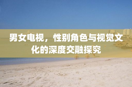 男女电视，性别角色与视觉文化的深度交融探究