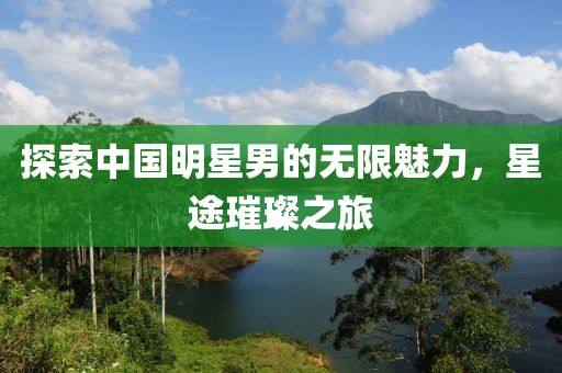 探索中国明星男的无限魅力，星途璀璨之旅