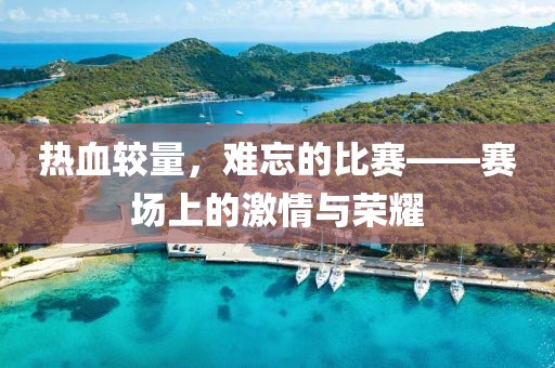 热血较量，难忘的比赛——赛场上的激情与荣耀