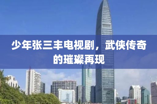 少年张三丰电视剧，武侠传奇的璀璨再现