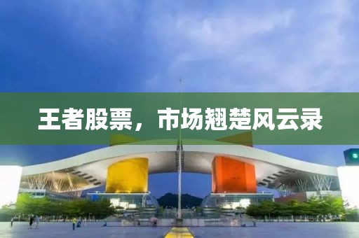 王者股票，市场翘楚风云录