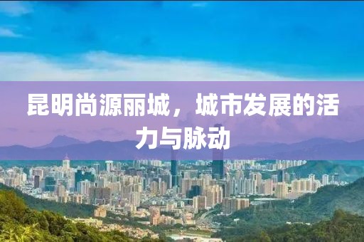 昆明尚源丽城，城市发展的活力与脉动