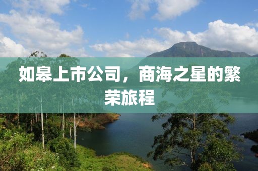 如皋上市公司，商海之星的繁荣旅程