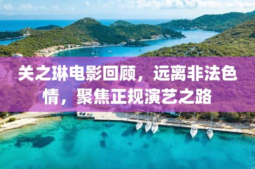 关之琳电影回顾，远离非法色情，聚焦正规演艺之路
