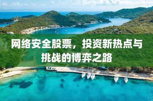 网络安全股票，投资新热点与挑战的博弈之路