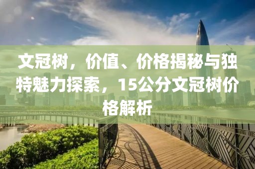 此去经年 第26页