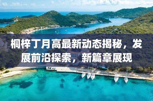桐梓丁月高最新动态揭秘，发展前沿探索，新篇章展现