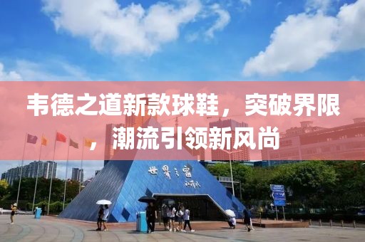 韦德之道新款球鞋，突破界限，潮流引领新风尚