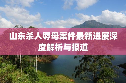 山东杀人辱母案件最新进展深度解析与报道