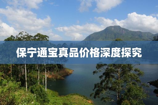 保宁通宝真品价格深度探究