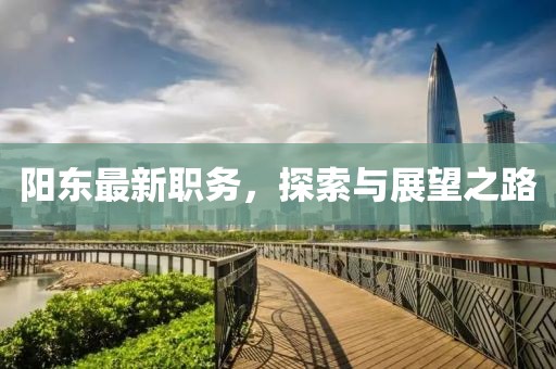 阳东最新职务，探索与展望之路