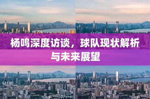 杨鸣深度访谈，球队现状解析与未来展望