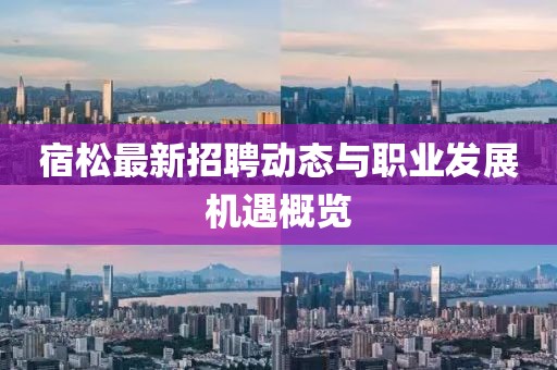 宿松最新招聘动态与职业发展机遇概览