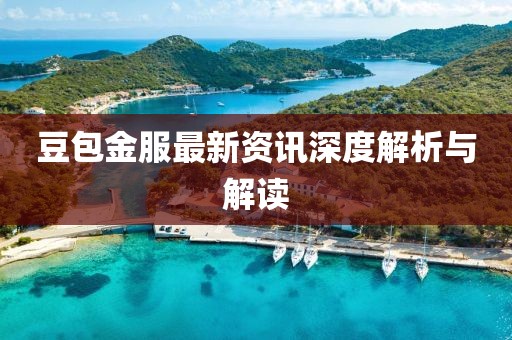 豆包金服最新资讯深度解析与解读