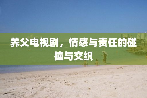养父电视剧，情感与责任的碰撞与交织