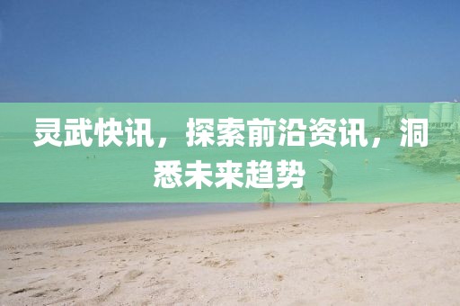 灵武快讯，探索前沿资讯，洞悉未来趋势