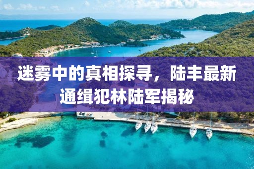 迷雾中的真相探寻，陆丰最新通缉犯林陆军揭秘