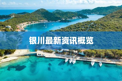 银川最新资讯概览