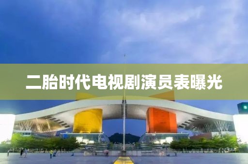 二胎时代电视剧演员表曝光