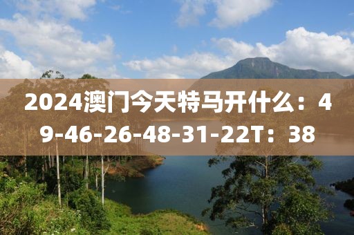 2024澳门今天特马开什么：49-46-26-48-31-22T：38