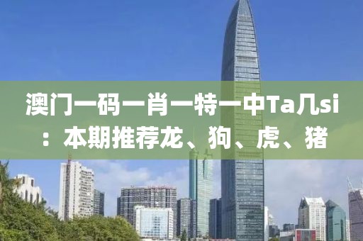 澳门一码一肖一特一中Ta几si：本期推荐龙、狗、虎、猪