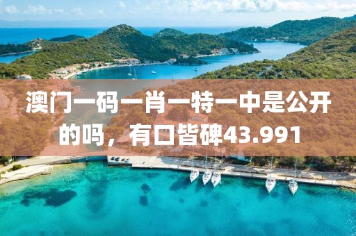 澳门一码一肖一特一中是公开的吗，有口皆碑43.991