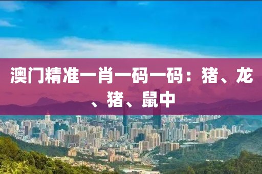 澳门精准一肖一码一码：猪、龙、猪、鼠中