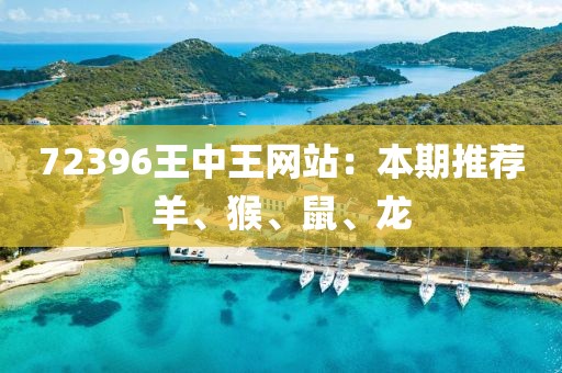 72396王中王网站：本期推荐羊、猴、鼠、龙