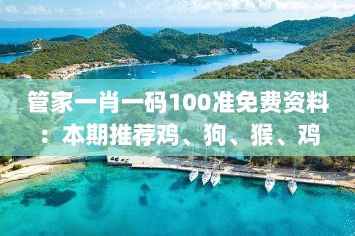 管家一肖一码100准免费资料：本期推荐鸡、狗、猴、鸡